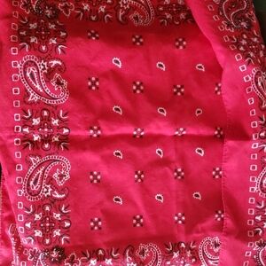 Vintage 1970's Paris Paisley Red Bandana Scarf rn #13960 made in USA 20x20"